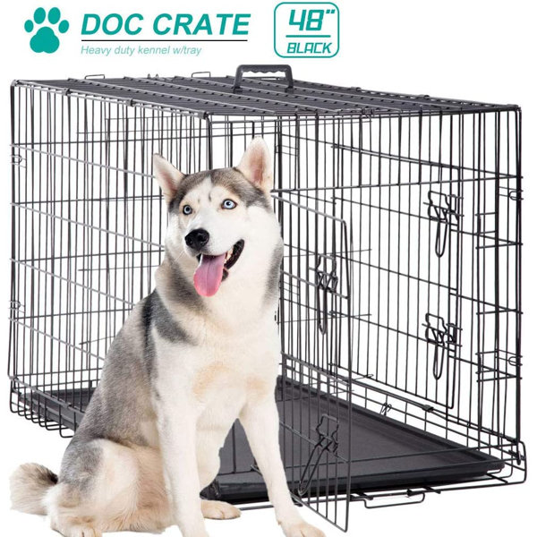 Tucker Murphy Pet™ 48 Inch Dog Cage Large XXL Dog Crates For Large Dogs